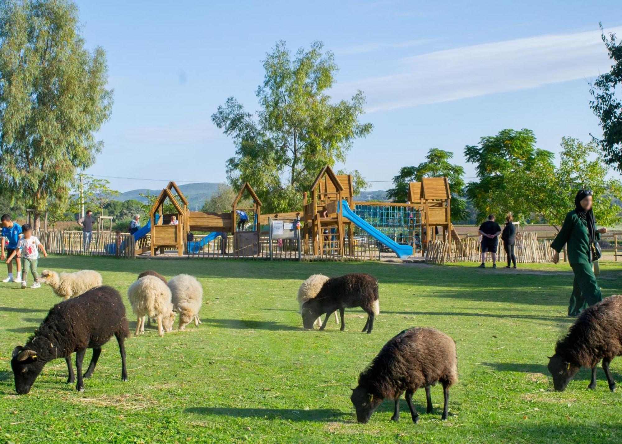 Maison Avec Piscine Location De Vacances Ferme Pedagogique Du Dolmen Le Pouget Bagian luar foto